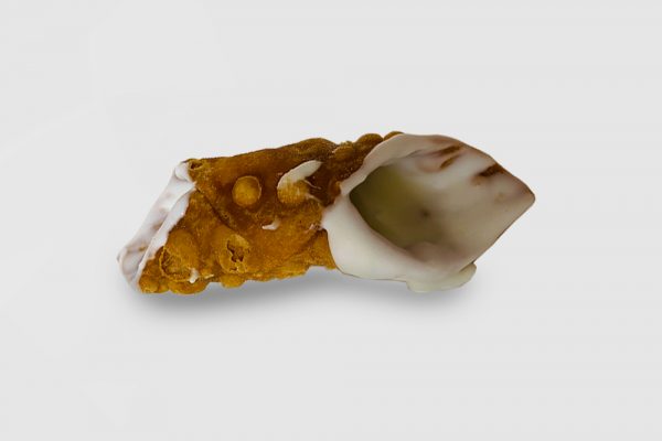 Cannoli Shell Small - White Choc Coated