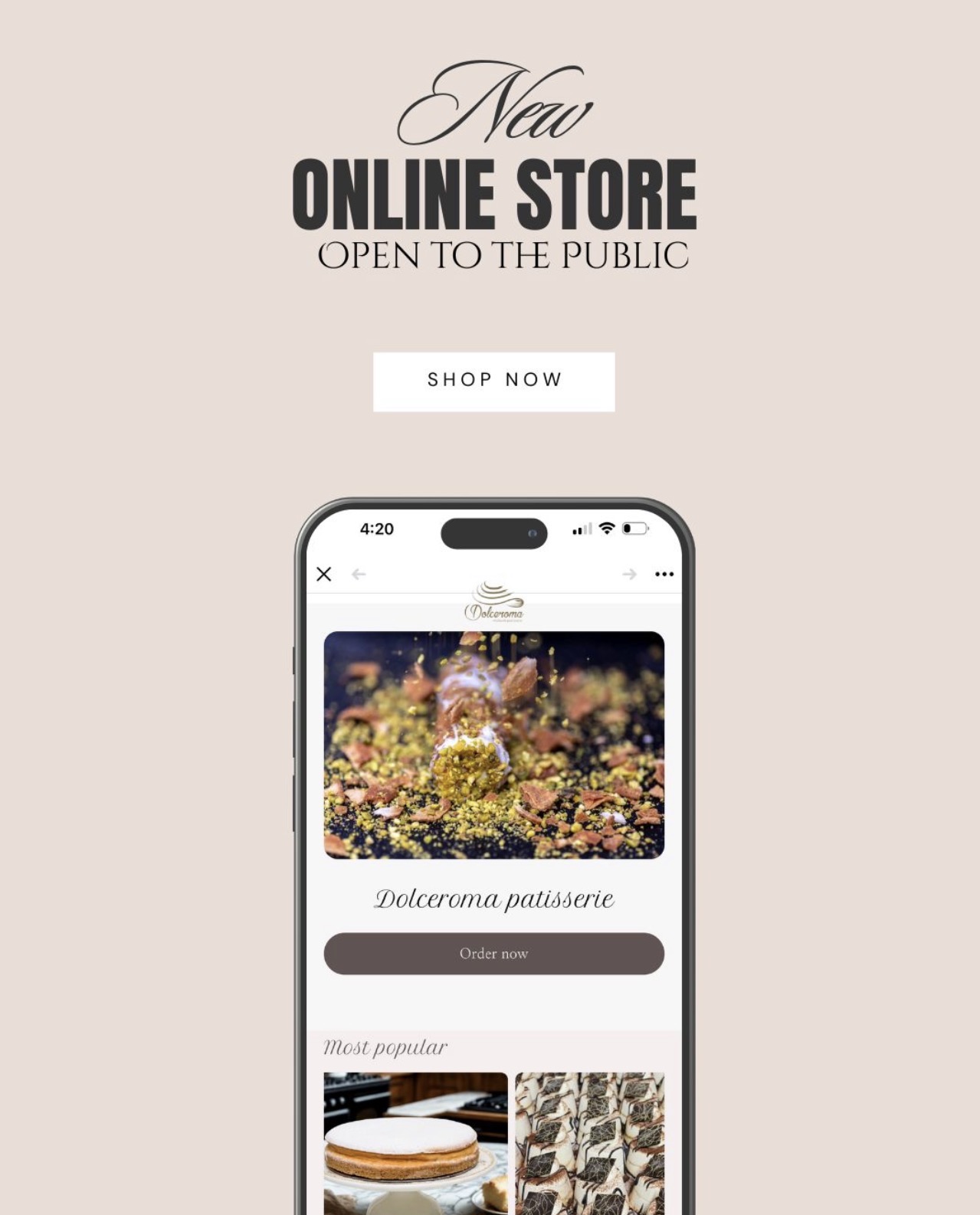 Public Online Shop